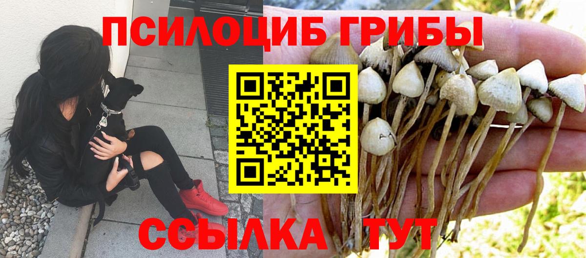 Псилоцибиновые грибы GOLDEN TEACHER Раменское