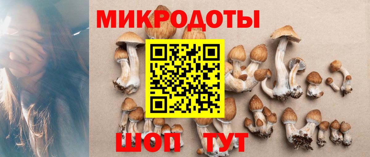 Галлюциногенные грибы мицелий  Вход с VPN  Раменское 